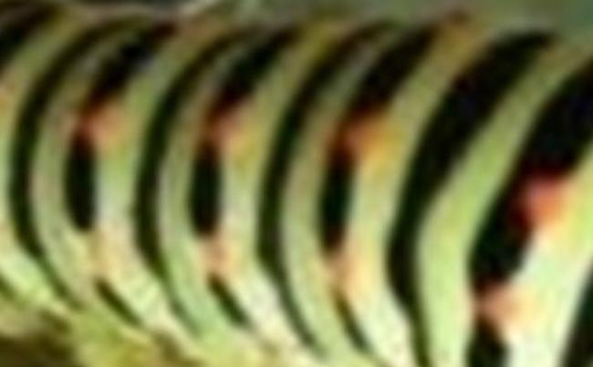 Name:  tı1.jpg
Views: 483
Size:  22.1 KB