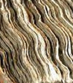 Name:  1506469_10153592110941264_2909986351481691459_n.jpg
Views: 509
Size:  36.1 KB
