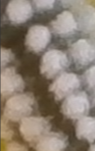 Name:  2.png
Views: 469
Size:  32.7 KB
