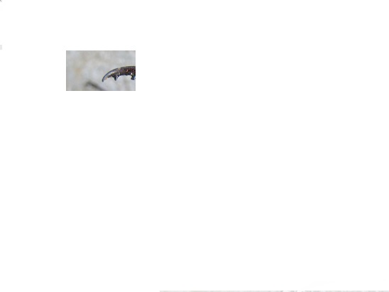 Name:  nedir.jpg
Views: 356
Size:  11.7 KB