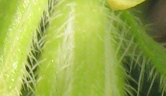 Name:  25.jpg
Views: 321
Size:  45.8 KB