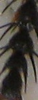 Name:  26.jpg
Views: 362
Size:  9.1 KB