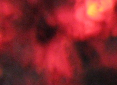 Name:  nedir.jpg
Views: 815
Size:  34.6 KB