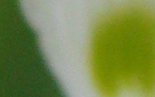 Name:  nedir.jpg
Views: 352
Size:  29.8 KB