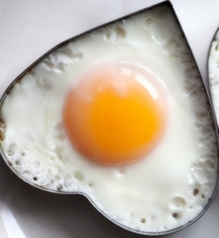 Name:  eating-eggs2 (1).jpg
Views: 330
Size:  64.9 KB