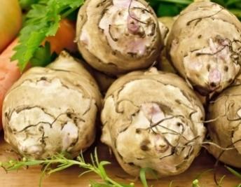 Name:  jerusalem-artichoke-gulia-vege.jpg
Views: 318
Size:  20.2 KB