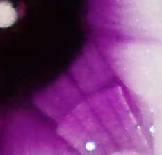 Name:  xyz.jpg
Views: 342
Size:  19.0 KB