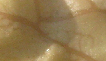 Name:  nedir6.jpg
Views: 343
Size:  25.1 KB