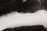 Name:  10678851_1062464987112375_6839871503178535651_n (1).jpg
Views: 261
Size:  4.2 KB