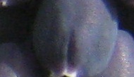 Name:  nedir.jpg
Views: 333
Size:  19.0 KB