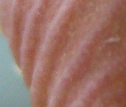 Name:  nedir1.jpg
Views: 350
Size:  20.4 KB