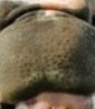 Name:  r8H5S7WL.jpeg
Views: 540
Size:  5.9 KB