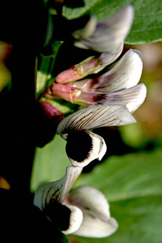 Name:  aaa.jpg
Views: 1235
Size:  48.6 KB