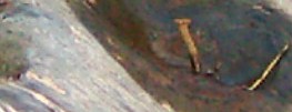 Name:  rüstekinin son hali.JPG
Views: 411
Size:  8.4 KB