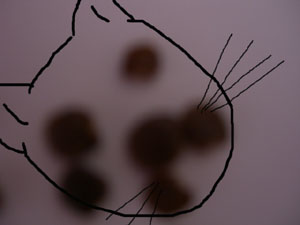 Name:  kedi.jpg
Views: 447
Size:  23.0 KB