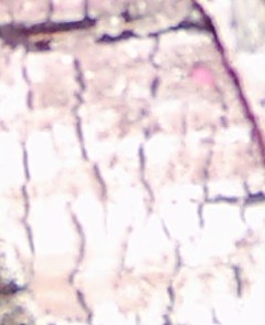 Name:  Kedi Resimlerim.JPG
Views: 349
Size:  15.9 KB