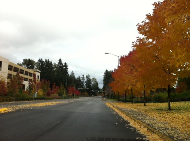 Name:  photo 2.jpg
Views: 6548
Size:  36.5 KB