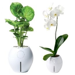 Name:  grobal-3.jpg
Views: 17526
Size:  13.3 KB