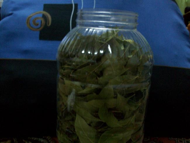 Name:  100_1624.jpg
Views: 9174
Size:  28.0 KB