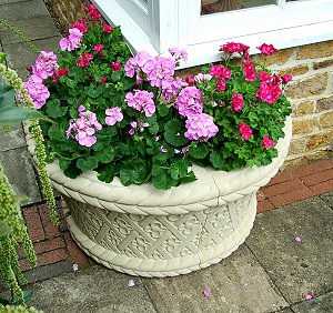 Name:  quadrant-planter.jpg
Views: 14363
Size:  42.1 KB