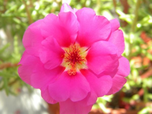 Name:  DSCN3864.jpg
Views: 14048
Size:  29.7 KB