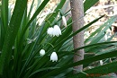 Name:  GEDC2731.jpg
Views: 7658
Size:  8.8 KB