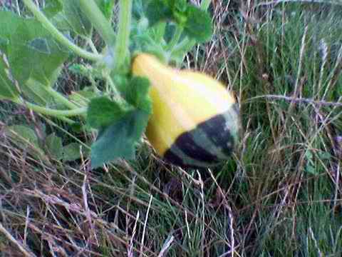 Name:  Image(343).jpg
Views: 1440
Size:  25.5 KB