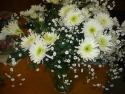 Name:  vazo1.jpg
Views: 1215
Size:  13.6 KB