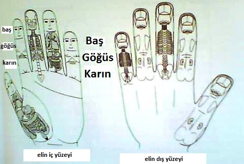 Name:  Picture0021.jpg
Views: 26301
Size:  50.0 KB