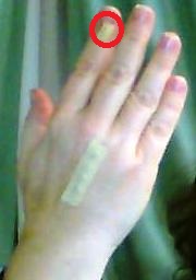Name:  Picture0031.jpg
Views: 8485
Size:  11.8 KB