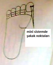 Name:  Picture0032.jpg
Views: 8113
Size:  10.5 KB