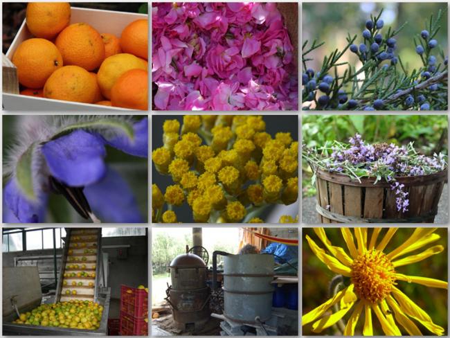 Name:  label image.jpg
Views: 2313
Size:  68.4 KB