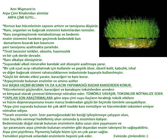 Name:  arpa imi.jpg
Views: 664
Size:  73.5 KB