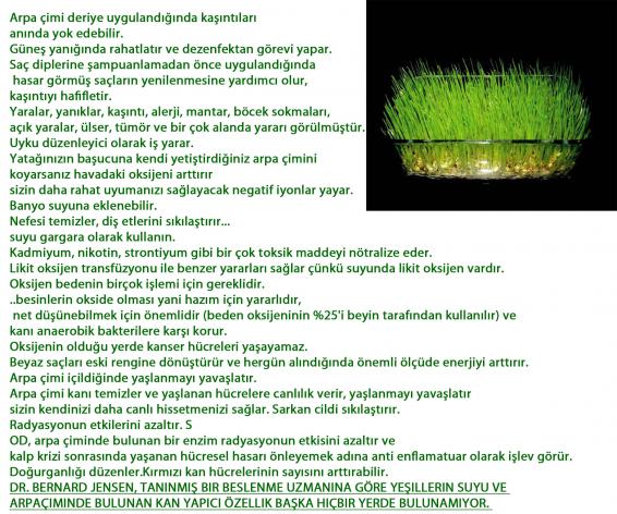 Name:  arpa imi 2.jpg
Views: 862
Size:  72.5 KB