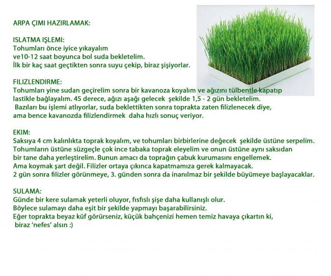 Name:  arpa imi 3.jpg
Views: 1092
Size:  65.6 KB
