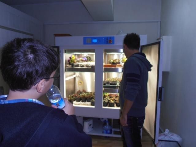 Name:  P1010019.jpg
Views: 1479
Size:  29.4 KB