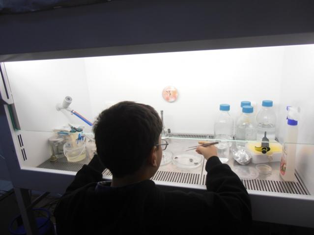 Name:  P1010028.jpg
Views: 1708
Size:  23.2 KB