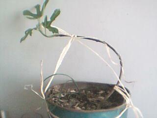 Name:  Resim 001.jpg
Views: 9636
Size:  8.3 KB