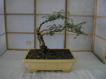 Name:  3000C_000007-med.jpg
Views: 2559
Size:  16.3 KB