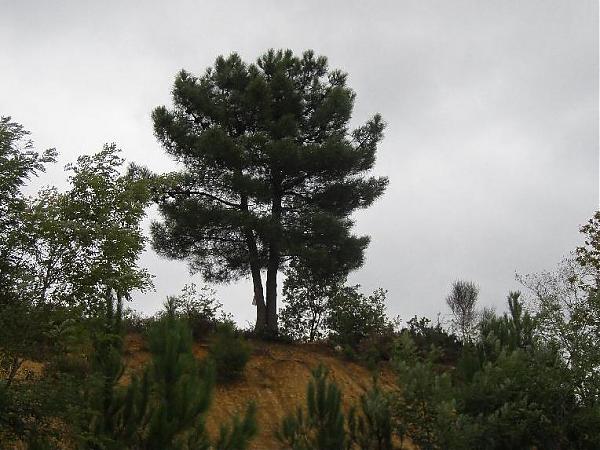 Name:  ikiligovde.jpg
Views: 3317
Size:  55.6 KB