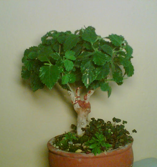 Name:  02-08-2006 (16).jpg
Views: 1628
Size:  57.9 KB