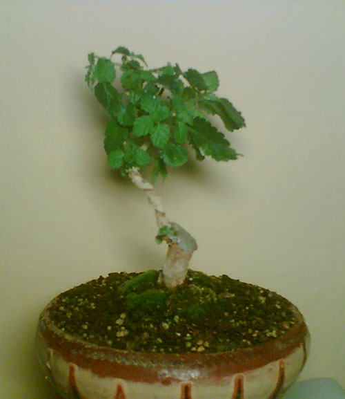 Name:  02-08-2006 (18).jpg
Views: 1629
Size:  50.7 KB