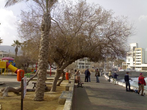 Name:  Ilgn01.jpg
Views: 1569
Size:  66.2 KB