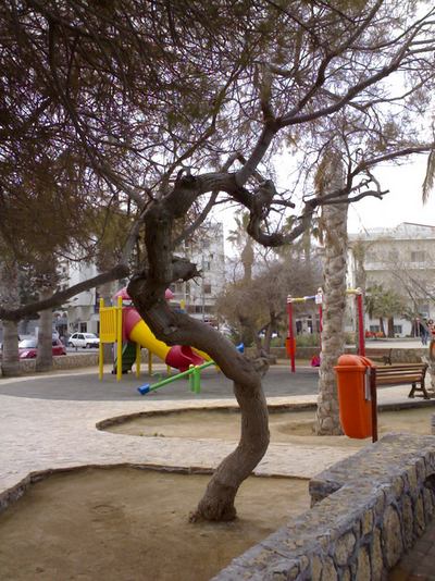 Name:  Ilgn02.jpg
Views: 1474
Size:  66.8 KB