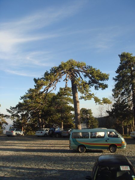 Name:  Trodos amlar005.jpg
Views: 2276
Size:  68.6 KB