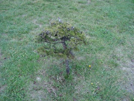 Name:  park1.jpg
Views: 1057
Size:  42.1 KB
