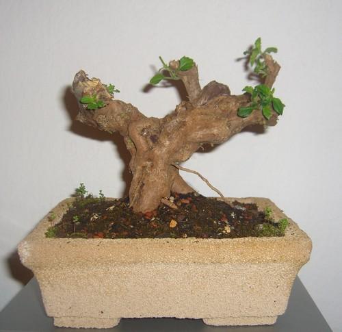 Name:  gazbeton2.JPG
Views: 1366
Size:  60.3 KB