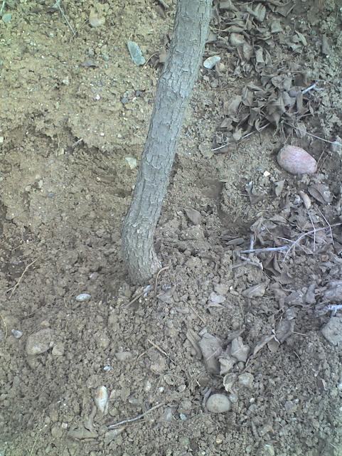 Name:  05-02-09_1347.jpg
Views: 1681
Size:  92.1 KB