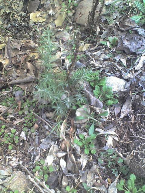 Name:  05-02-09_1341.jpg
Views: 1885
Size:  90.2 KB