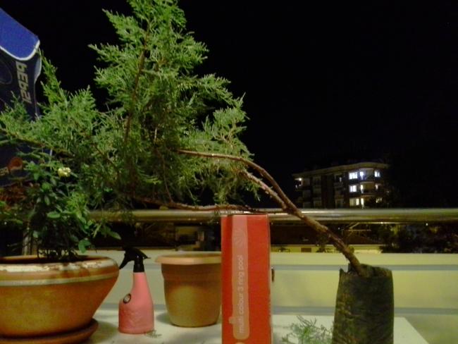 Name:  20130829_235411.jpg
Views: 1446
Size:  41.8 KB